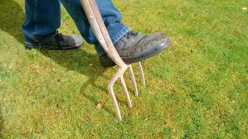 Soil Maintenance